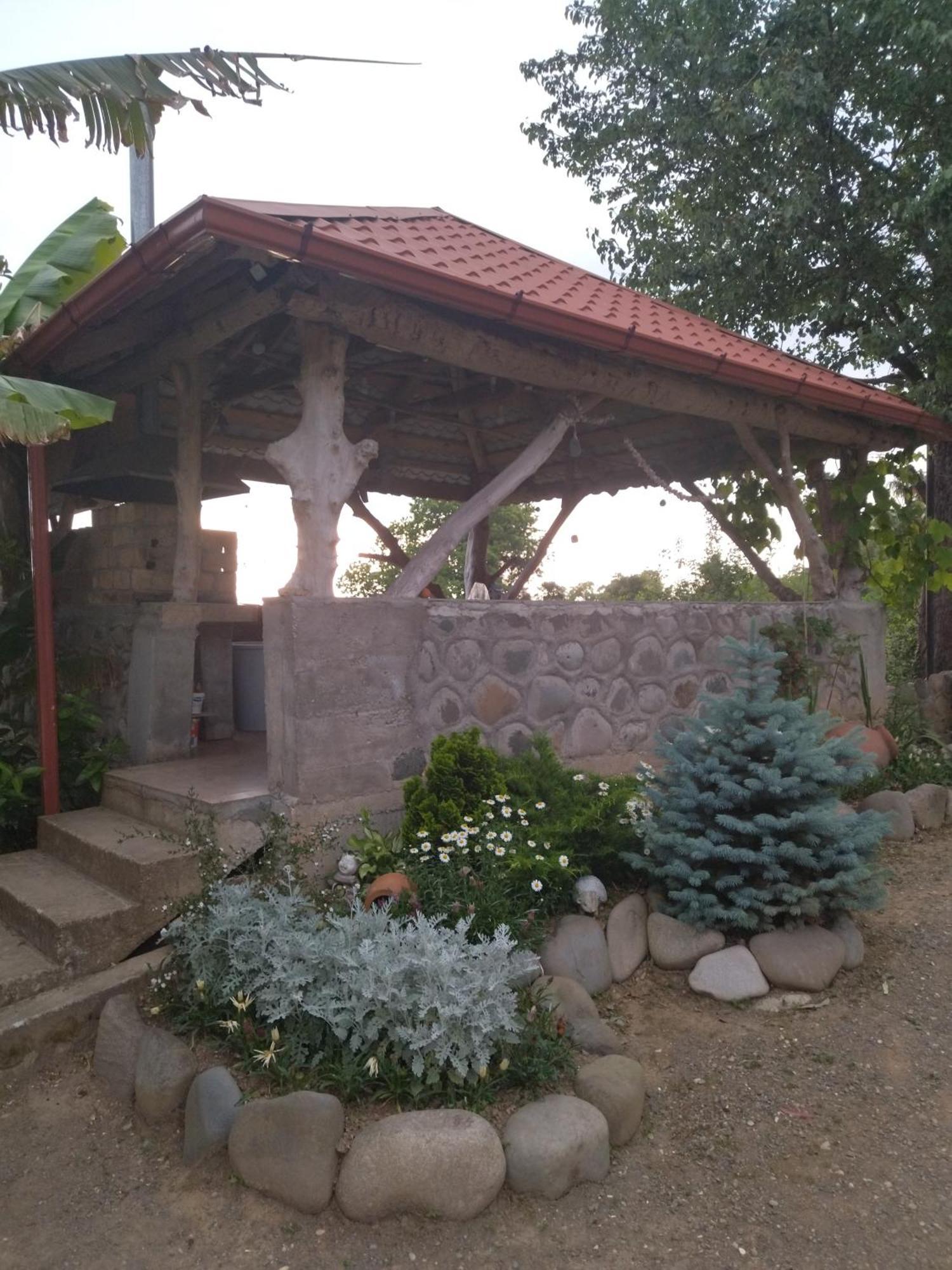 Olga'S Home 바투미 외부 사진